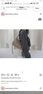 Bucks and Leather Pillow Bag (Size M) - Image 16